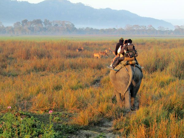 Golden Triangle with Corbett Tiger Reserve Package