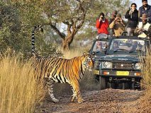Golden Triangle with Ranthambore Tiger Safari
